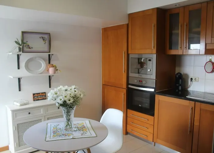 Lovely Ponta Delgada